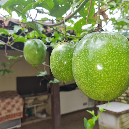 Casa Da Acerola Villa Rio das Ostras Eksteriør billede